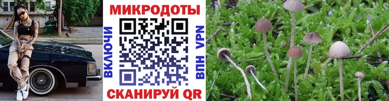 Купить где  Николаевск-на-Амуре  Псилоцибиновые грибы Magic Shrooms 