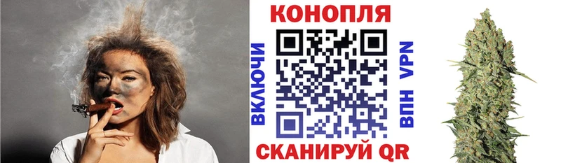 Бошки Шишки Amnesia  Купить закладки  Николаевск-на-Амуре 
